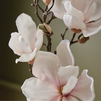 Magnolia Willow Reed Diffuser Oil Refill