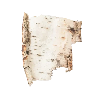 Woodland Spruce Pura Smart Device Refill