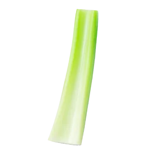 Celery Thyme Signature Candle