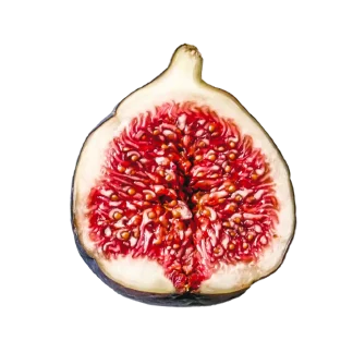 Paradiso Fig Classic Reed Diffuser