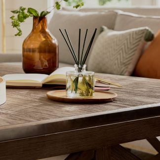 Frasier Fir? Pine Needle Favorites Trio