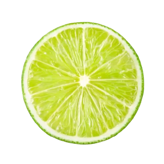 Paloma Melon Signature Candle