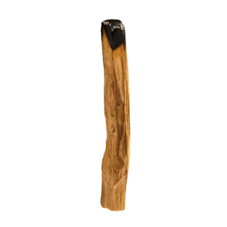 Woodland Spruce Pura Smart Device Refill