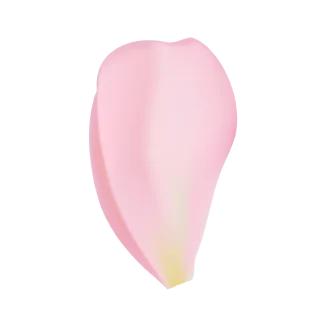 Duchess Peony Classic Candle