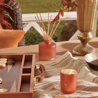 Pumpkin Laurel Petite Reed Diffuser